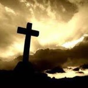 Meet your Posher, Penny